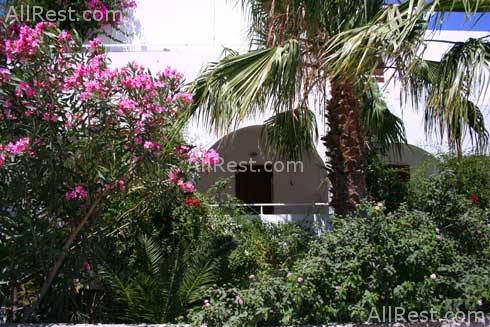 Amaryllis Hotel 4
